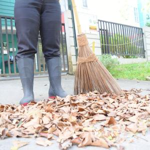 YARD BROOM / SAPU LIDI