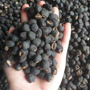 Hạt chuối cô đơn Ninh Thuận tốt cho người sỏi thận 1kg.