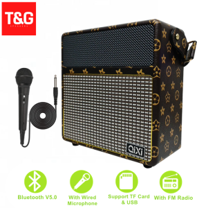 SK-2027 Karaoke Wireless Bluetooth Speaker support AUX TF USB FM Radio Mode Function with Wired Microphone