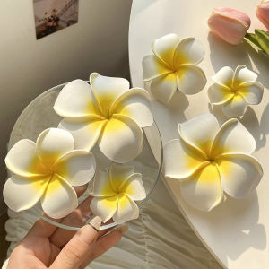 PVN63401 KẸP TÓC HOA ĐẠI - KẸP TÓC HOA SỨ