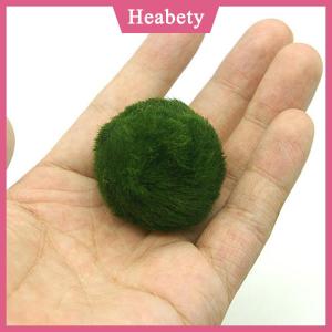 Heabety  3-4cm Marimo Moss Balls Live Aquarium Plant Algae Fish Shrimp Tank Ornament Simulation Green Algae Balls Artificial Plant