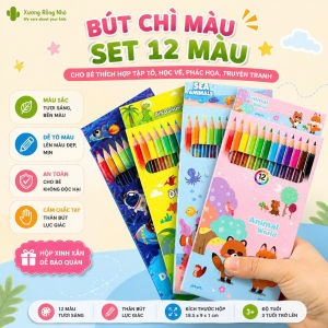 Bút chì màu set 12 màu cho bé thích hợp tập tô học vẽ phác họa truyện tranh