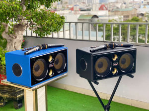 Loa Karaoke Xách Tay DK38 – 6 Đường Tiếng Công Suất 500W 2 Bass 20cm 2 Trung 2 Treble Kết Nối Đầy Đủ  2 Micro Không Dây Loa Di Động Hát Karaoke Gia Đình và Sự Kiện