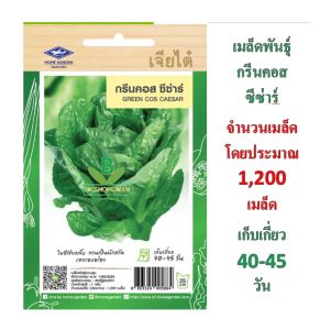 5  ฟรี 1 คละได้ทั้งร้าน เมล็ดพันธุ์ ผักกาดหอมเพอเพิล  ตราเจียไต๋ จำนวนเมล็ด 200 เมล็ดโดยประมาณ ผักสวนครัว เมล็ดผัก