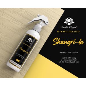 Essentials Antibacterial & Odor Eliminator Room & Linen Spray (250ml)  BIGGER SIZE