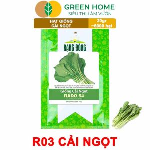 Hạt Giống Rau Cải Ngọt Greenhome Gói 20g~6000 hạt Dễ Trồng Quanh Năm Nảy Mầm Cao Thu Hoạch Nhanh Năng Suất Cao R03