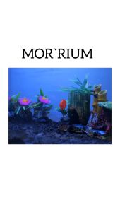 Hiasan Aquarium Gua Air Terjun/ Bahan Resin/ Aquascape/ Hiasan Aquarium Tebing