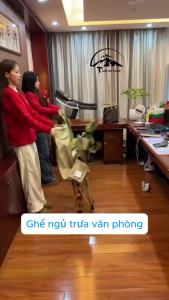 Ghế Camping Ngả Lưng Tmountain Gấp Gọn Thư Giãn Dã Ngoại Du Lịch Cao Cấp Tiện Dụng