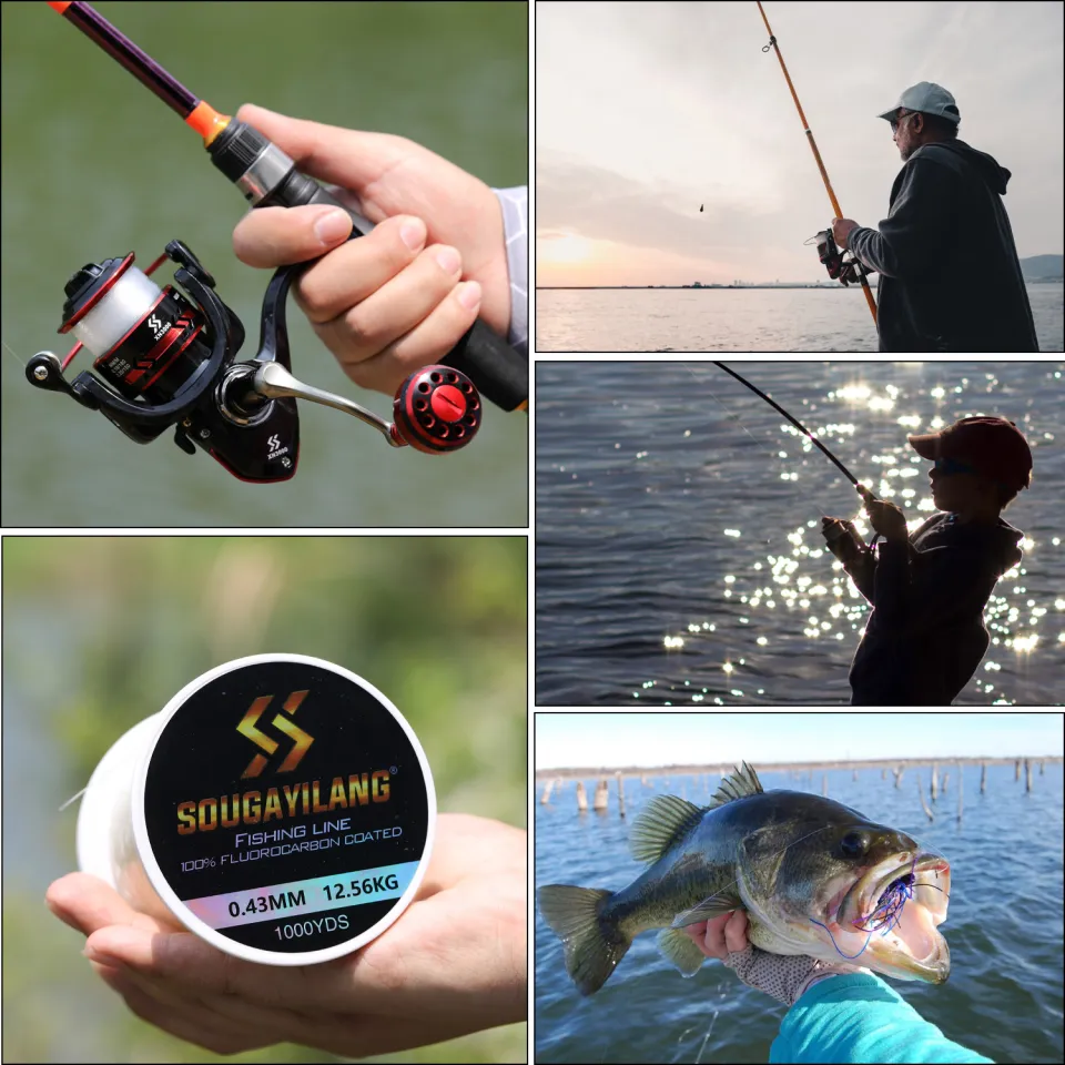 Sougayilang Fishing Leader Line 200 500 1000 Yds Fishing 100% Fluorocarbon  Coated Line Virtually Invisible Faster Sinking Abrasion Resistance UV  Resistance Fishing Line