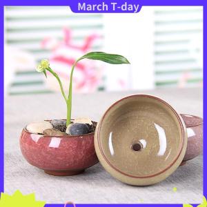 March น่ารักน้ำแข็ง-รอยแตกเคลือบดอกไม้เซรามิกฉ่ำชาวไร่มินิพืชหม้อตกแต่งบ้าน