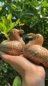 นกคุ้ม นกคุ้มเงินคุ้มทอง (แพ็กคู่)