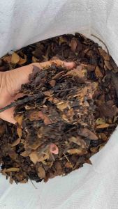 ใบก้ามปู พร้อมใช้ หมักธรรมชาติ 1 กระสอบ