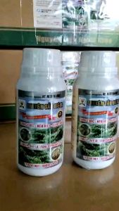 Phân bón trung vi lượng giúp BUNG TƯỢC - KÉO ĐỌT - ĐÂM CHỒI chuyên SẦU RIÊNG. Chai 500ml pha được 500 lít nước