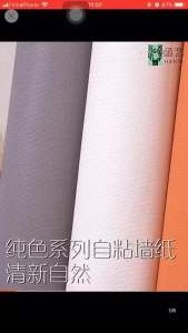 [GIÁ Sỉ]_rộng 10m Giấy dán tường màu Bạc Hà pastel 45cm có keo sẵn