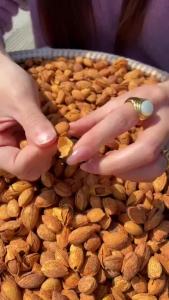 Almond 500g Cream-flavored new years goods nuts dried fruits and snacks New Years Goods Amond Nuts Dried Fruit Casual Snacks