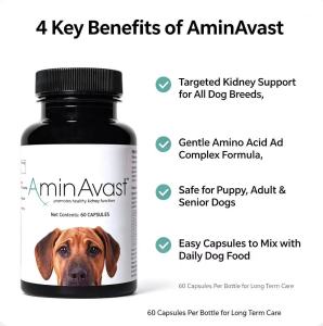 In stock AminAvast Kidney Support Capsules For Dogs 60 capsules Promote Healthy Canine Kidney Function