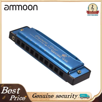 คีย์ของ C Diatonic Harmonica mouthorgan พร้อม ABS reeds Black