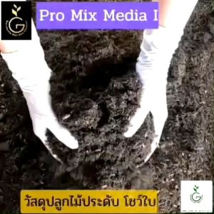 วัสดุปลูกไม้ประดับ Pro Mix Media ดินปลูกไม้ใบ - ประเภทโชว์ใบ ลดความนิ้น 100% คุณภาพ
