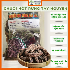 CHUỐI HỘT RỪNG TÂY NGUYÊN bịch 1kg chuối hột rừng khô ngâm đỡ đau lưng tan sỏi thận đau xương khớp từ Sê San-Kon Tum | Berries Farm