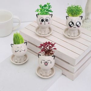 office decor Small grass potted Creative Grow Bag Pot Grass Head Doll Planting Bag Flower Pot Desktop Decor Gift【创意草头娃娃大眼萌仔小盆栽草娃娃长草植物栽培桌面种植抖音同款】