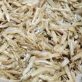 1kg Ikan Bilis Mata Biru Kopek 3A | Ikan Bilis 1kg Murah Borong | Kualiti Ikan Bilis Kopek Mata Biru Sabah 1kg | Ikan Bilis Rangup | Ikan Bilis Kopek Murah | Dried Anchovy 江鱼仔 - The Fisherman. 