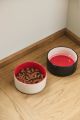 HAY - HAY Dogs Bowl ( ชามอาหารสัตว์ ชามข้าวหมา ชามข้าวแมว ชามอาหารแมว ที่ใส่อาหารแมว ที่ให้อาหารแมว ชามอาหารสุนัข ชามข้าวแมว ชามอาหารสัตว์ ชามอาหารทรงสูง สำหรับสัตว์เลี้ยง ปากชามขนาดใหญ่ ). 