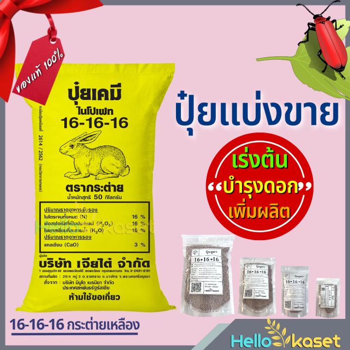 5 อันดับ ปุ๋ยและสารบำรุงพืชยอดนิยม อัปเดตปี 2025