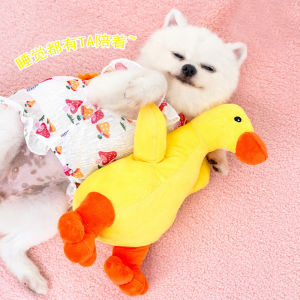 Pet toy dog cat sleeping duck voice plush bb called antiboredom supplies magic fight golden retriever Internet celebrity