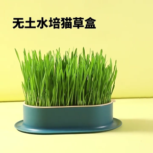 2pcs Hydroponics Seed Sprouter Tray For Indoor And Outdoor Planting NoSoil Needs Easy To Clean and Planting