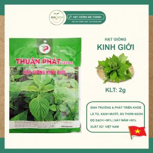 [EcoSeeds] Combo 2 Gói Hạt Giống Rau Kinh Giới Thuận Phát - Phát Triển Khỏe Đẻ Nhánh Nhiều - Gói 2g