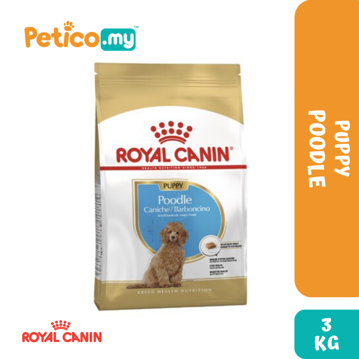 Royal canin hotsell poodle puppy food