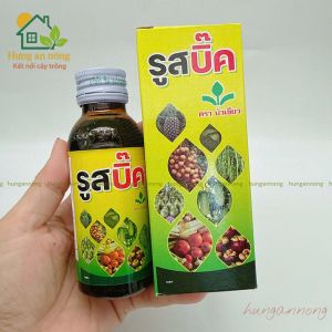 Dung dịch Root Big Thailand 100ml – Hỗ trợ ra rễ tăng trưởng cho cây trồng