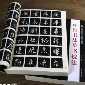 Sách dạy hướng dẫn thư pháp thảo thư cho người mới học và học chuyên sâu Trung Quốc thư pháp thảo thư kỹ pháp bút pháp Vương Hy Chi Triệu Mạnh Phủ Đổng Kỳ Xương