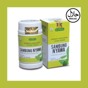 Daun Sambung Nyawa Ekstrak Herbal Kapsul Obat Kolesterol Tinggi Hipertensi Alami isi 60.