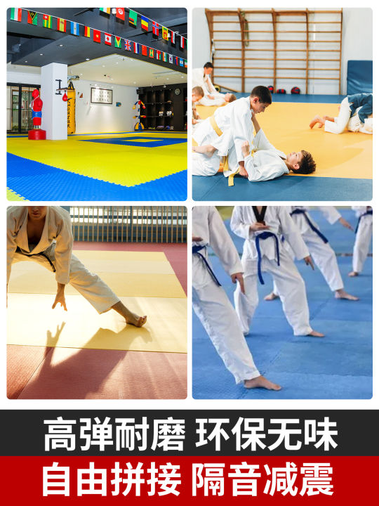 Taekwondo mat judo mat Wushu fighting backflip boxing gym fighting mat ...