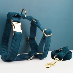 Personalized Dog Collar And Harness Set with Leash Custom Engraved Name Small to Medium Dogs Poop Bag Holder Included2026