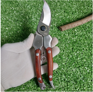 Kéo cắt cành cộng lực SK5 nhập khẩu Japan bằng thép trắng đúc nguyên khối không gỉ