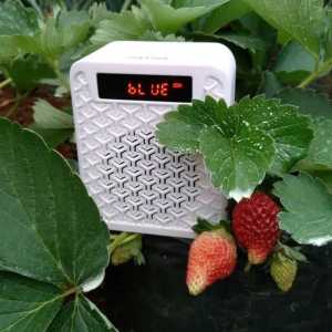 Advance Speaker Bluetooth Portable TP631 / Speaker Mini / Kecil / Bergaransi Resmi Advance 1 Tahun Tidak Ada Memori