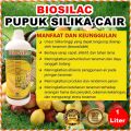 Biosilac 1 Liter Pupuk Silika Cair Murni Silica Organik Meningkatkan Produktivitas Tanaman Buah Sayur Bunga Hias. 