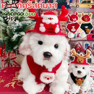 SKISOPGO เสื้อผ้าสัตว์เลี้ยง ชุดสุนัขคริสมาส เสื้อผ้าหมา ชุดแมว หลากหลายสไตล์ ให้ความอบอุ่น