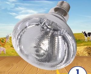 Infrared Heat Lamp Bulb for Livestock pigs poultry goat cattle bulb for animals 100 watts Heat Emitter Infrared heater