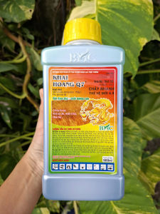 [TRUNG THIEN THINH] KHAI HOÀNG Q7 KENBAST 15SL 900ml – Thuốc Trừ Cỏ Cháy Nhanh Diệt Cỏ Chỉ Cỏ Mần Trầu Thài Lài