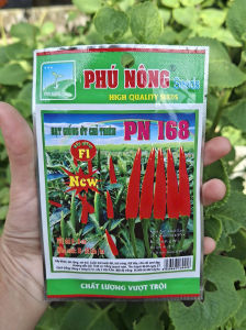 [THIEN THINH SHOP] HẠT GIỐNG ỚT CHỈ THIÊN PN 168 F1 PHÚ NÔNG – CÂY KHỎE TRÁI ĐẸP NĂNG SUẤT CAO