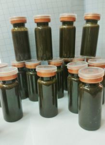 Pell da Vi kim tảo biển trj nám quét sạch nám chân sâu trẻ hoá da giảm dầu thừa đẩy lùi mụn xóa tan thâm sạm nhanh mạnh hiệu quả an toàn