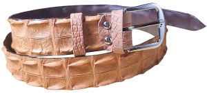 เข็มขัด​หนัง​จระเข้​สีแทน​สดใส​ เป็น​รุ่น​สองกระดูก​คู่​