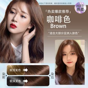 Plant Extract Bubble Hair Dye Shampoo Pure Plant Extract Grey Hair Color Bubble Dye 500ml