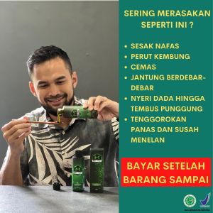 100% ORIGINAL Madu Hijau Herbal Asam Lambung Asli BPOM - Madu Hijau Obat Herbal Maag Gerd Asam Lambung Ampuh