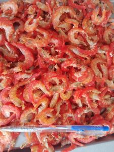 Tôm Khô Đất Loại 2 Size Trung rất ngon và ngon thịt chính gốc Cà Mau thích hợp làm quà tặng