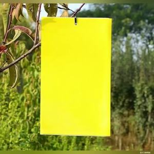 Double - Sided Sticky Insect Trap Plastic Insect | Barangan Berkualiti Reka Bentuk Praktikal Mudah Guna