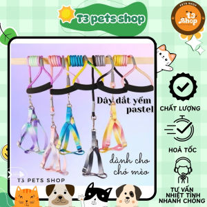 dây dắt yếm pastel dành cho chó mèo từ 5kg - 20kg - T3 PETS SHOP